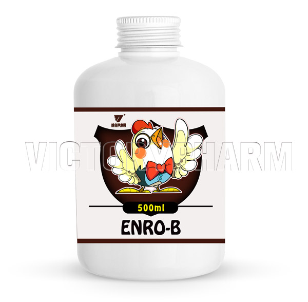 Enrofloxacin ENRO-B