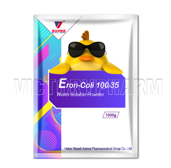 Eron-Coli 10035