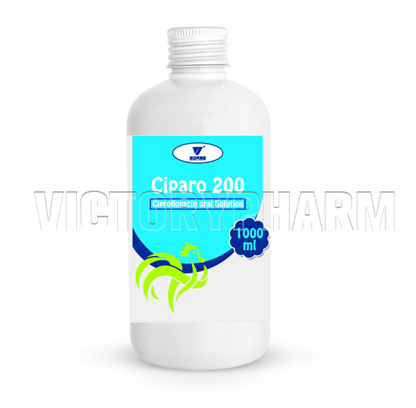 Ciparo 200