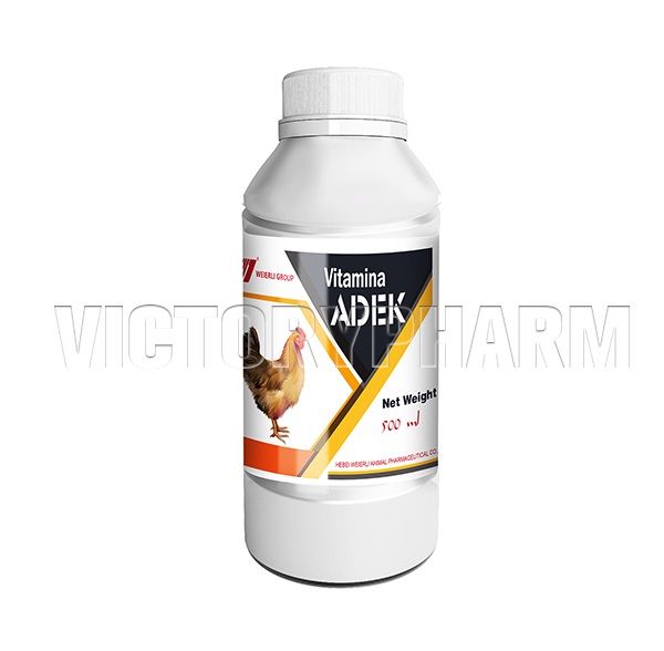 VITAMIN ADEK